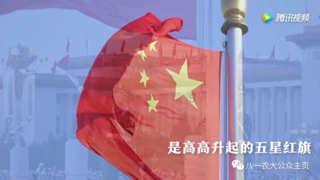 月光影视